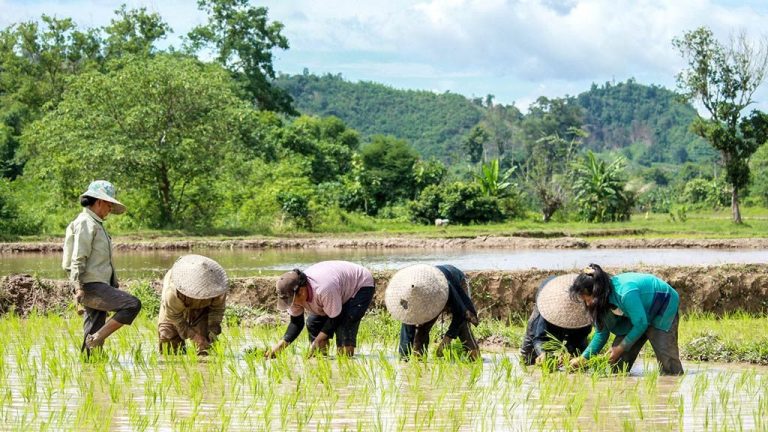 Laos, Vietnam Exchange Ideas on Female Progress