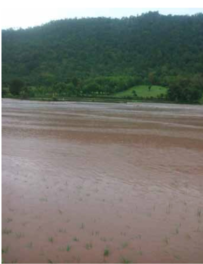 Flash Flooding Hits Farmers in Xayaboury