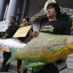 roberts_rechargingasiasbattery_protest
