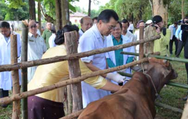 Animal Vaccination Day Gives Boost to Livestock Health