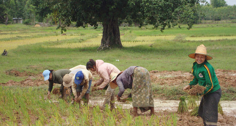 Women Need Greater Empowerment in Agriculture