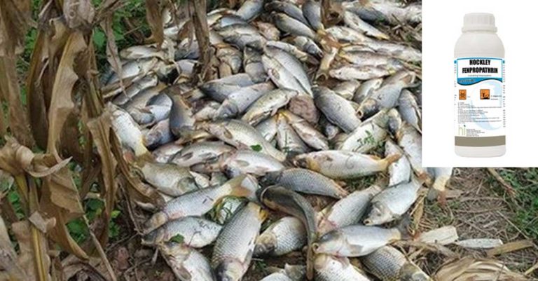 Fenpropathrin Fish Deaths Houayxai Laos