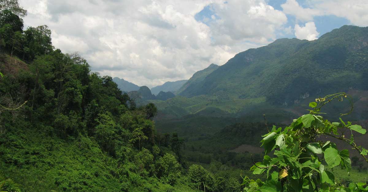 Laos sets goal for 70 percent forest cover by 2025