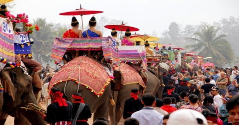 elephant festival