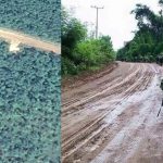 Laos and Cambodia Border Dispute