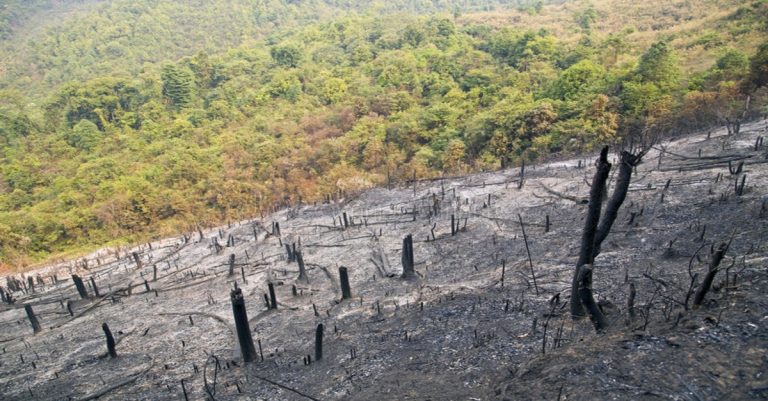 Laos Partners with Thailand, Myanmar to Control Air Quality