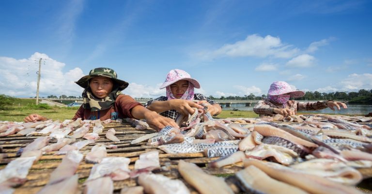 Launch of the Nakai Plateau Livestock, Agriculture and Fisheries project