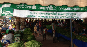 Vientiane Organic Farmers Group (photo credit: memoriesare.blogspot.com)