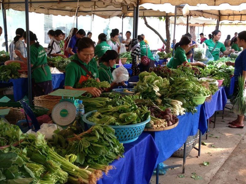 Vientiane Organic Farmers Group (photo credit: memoriesare.blogspot.com)