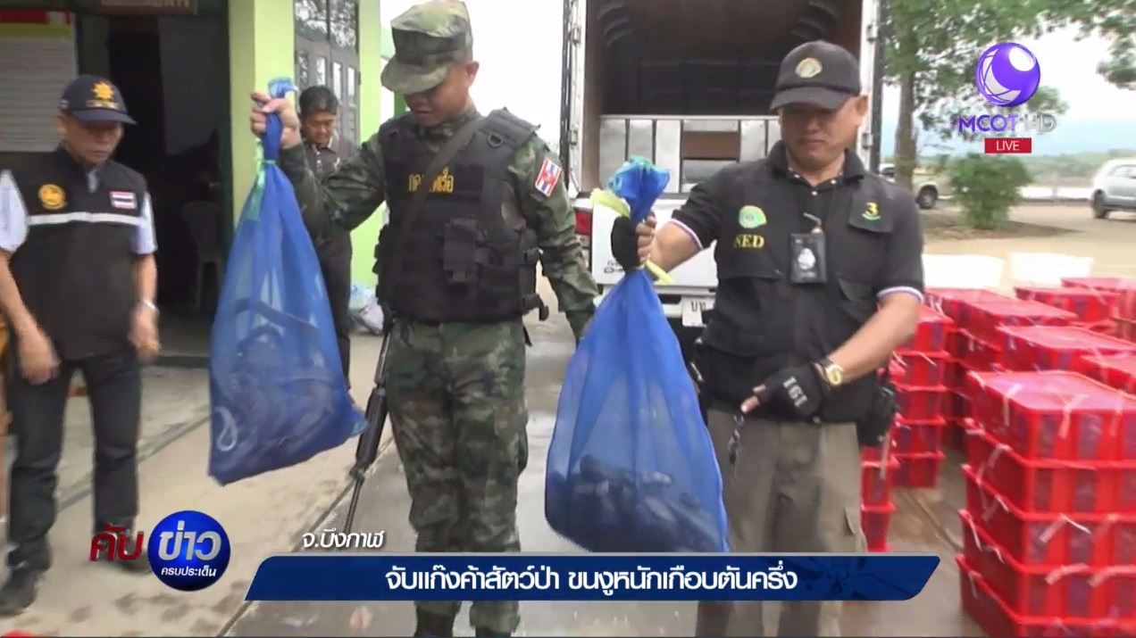 smuggled snakes bound for Laos seized