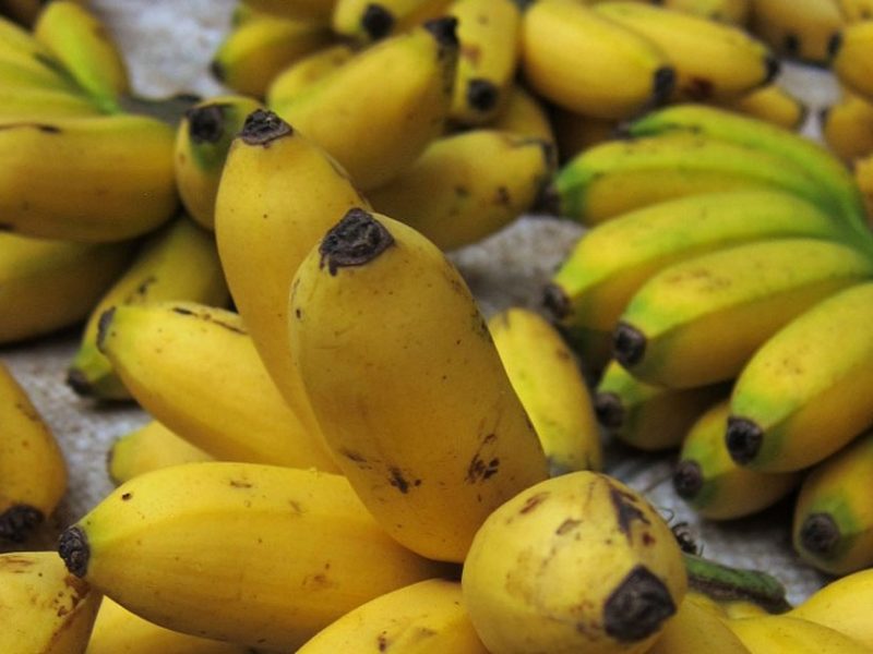 Laos banana exports uncertain
