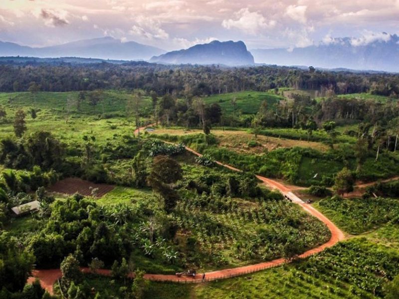 Photo Credit: WWF