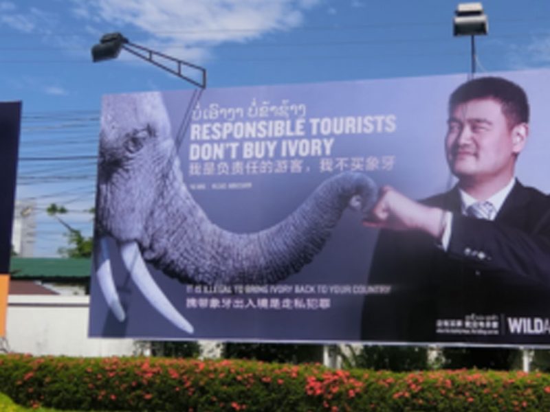 wildaid yao ming ivory laos
