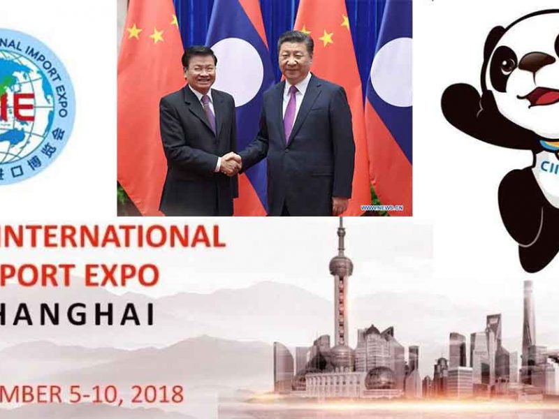 China International Import Expo
