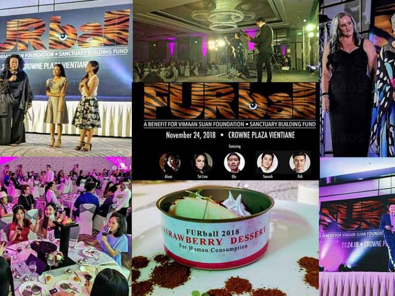 Furball 2018 for Vimaan Suan Foundation in Vientiane Laos.