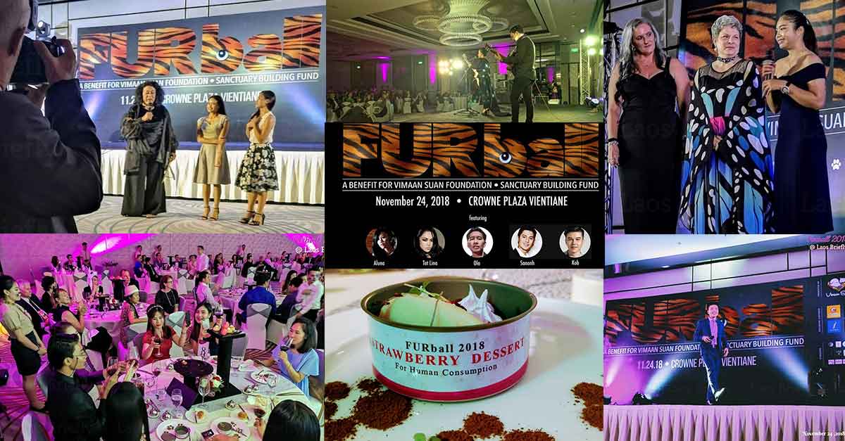 Furball 2018 for Vimaan Suan Foundation in Vientiane Laos.