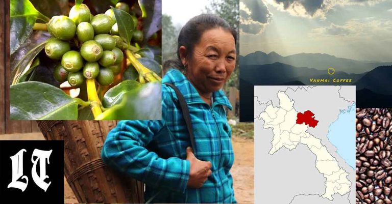 Coffee farmer Ms Her from Huaphan.