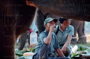 Changing Times For Elephants, Mahout Handlers in Laos (Laotian Times)