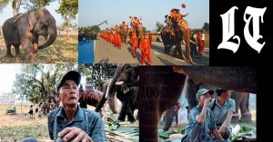 Changing Times For Elephants, Mahout Handlers in Laos (Laotian Times)