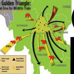 Wildlife-Media-Coverage
