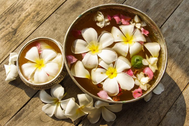 Frangipani, Flower of Love and Death