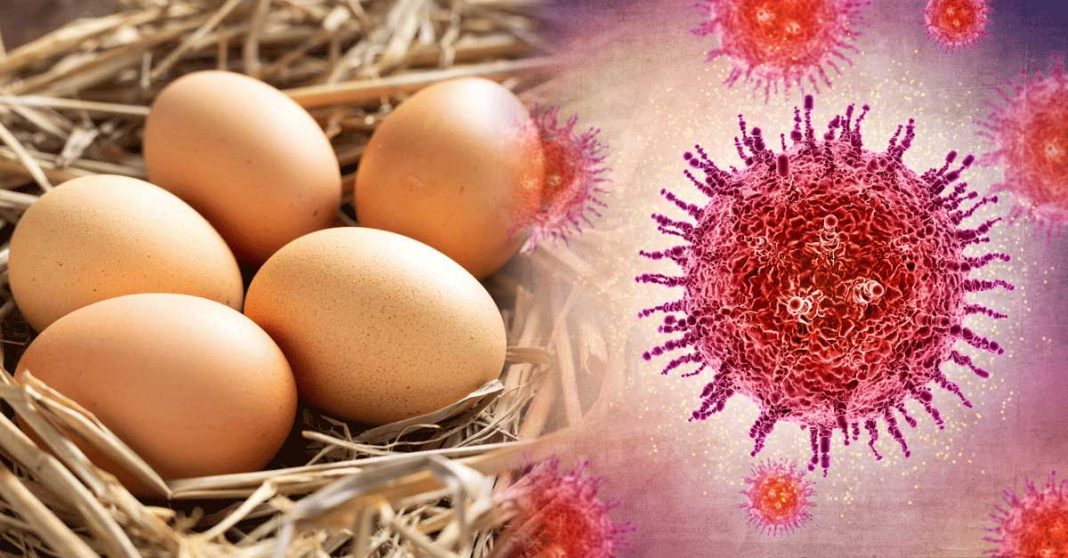 Many people believe a talking baby's claims that eggs can fight the Coronavirus