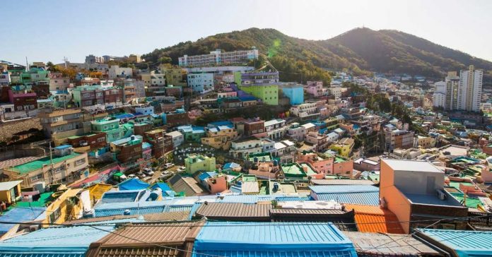 Visitors Treated to Coastal, Cultural, Culinary Landscapes in Busan