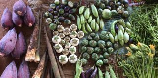 Fruit and vegetable produce in Laos