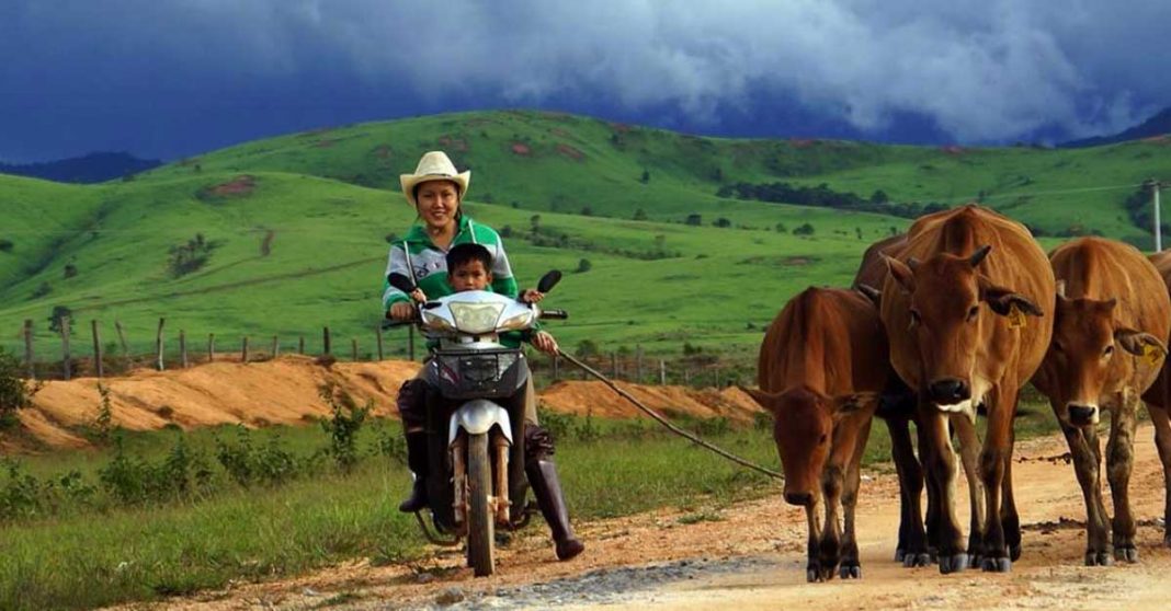 PM tells Lao people to grow crops and raise livestock