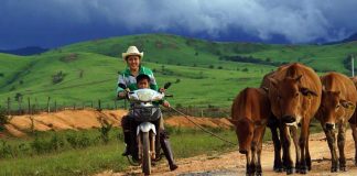 PM tells Lao people to grow crops and raise livestock