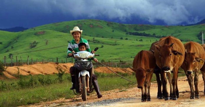 PM tells Lao people to grow crops and raise livestock