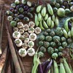 Fruit-and-vegetable-produce-in-Laos