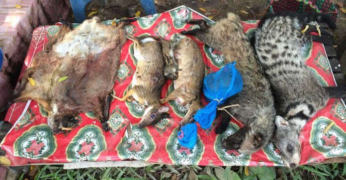End the Wildlife Trade in Laos and Prevent Future Pandemics