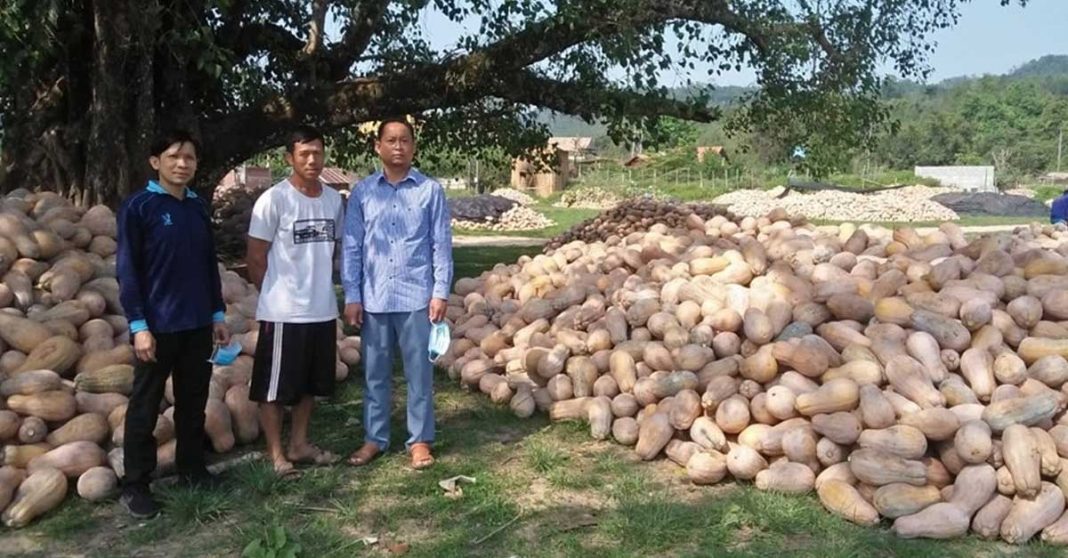 Surplus Pumpkin Crops