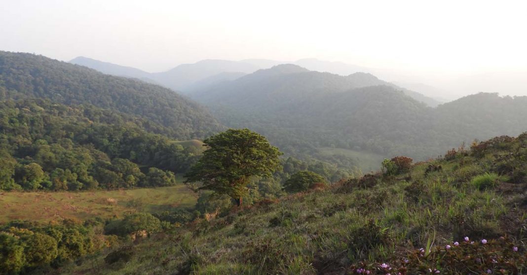 Nakai-Nam Theun National Park