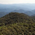 Nakai-Nam Theun National Park