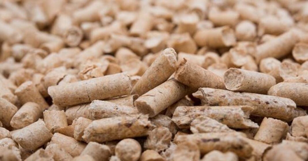 Thai and Lao companies join for wood pellet project