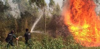 Authorities spray water to extinguish a forest fire last year. Ministry of Information