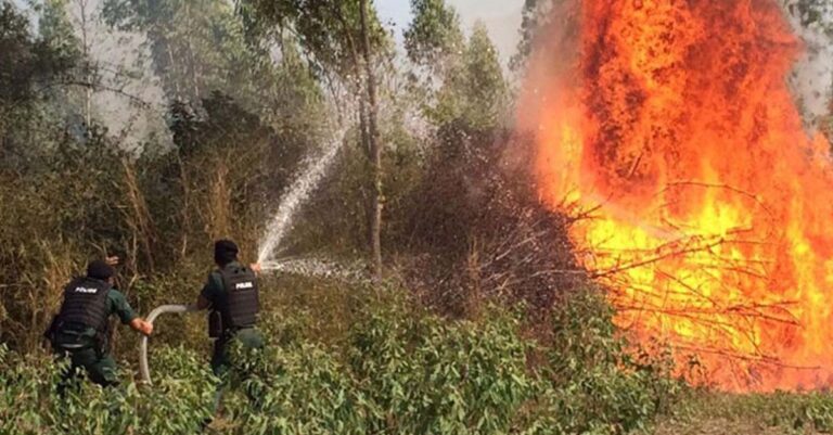 Authorities spray water to extinguish a forest fire last year. Ministry of Information