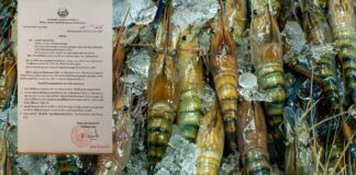 Seafood imports from Thailand banned after Covid-19 outbreak