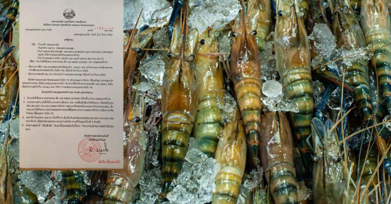 Seafood imports from Thailand banned after Covid-19 outbreak