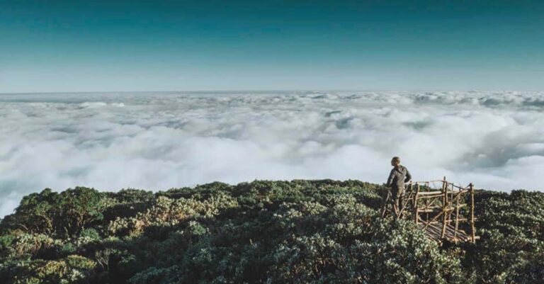 The View from Phu Bia Mountain (Photo: Inthy Deuansavanh)