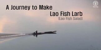 FAO journey to make fish larb