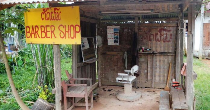 Microbusinesses dominate private sector in Laos