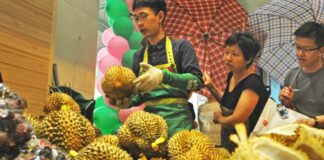 Chinese companies hope to start durian plantations in Laos