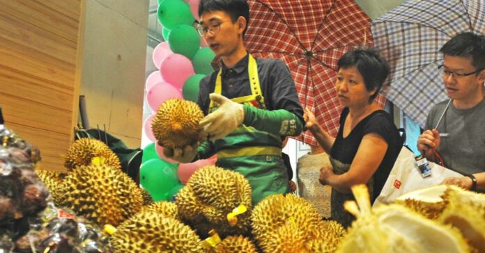 Chinese companies hope to start durian plantations in Laos