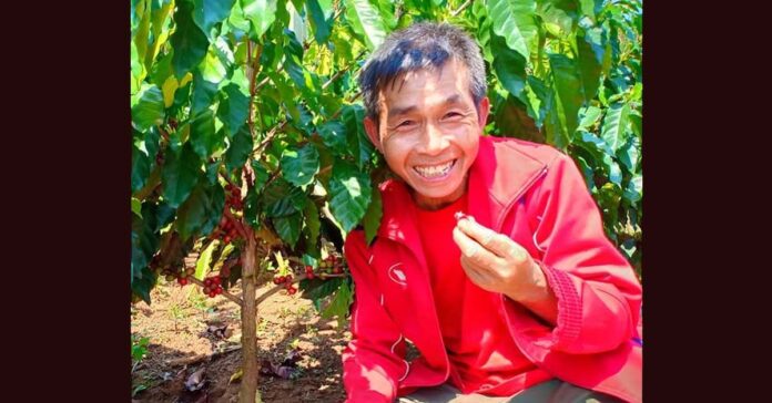 Coffee grower at Vanmai Coffeelink thumbnail image template Coffee grower at Vanmai Coffee