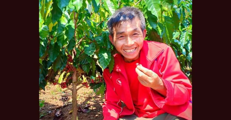 Coffee grower at Vanmai Coffee