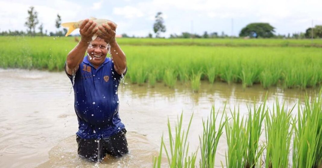 Invasive Disease and Illness Linked to Consumption of Raw Freshwater Fish in Southeast Asia