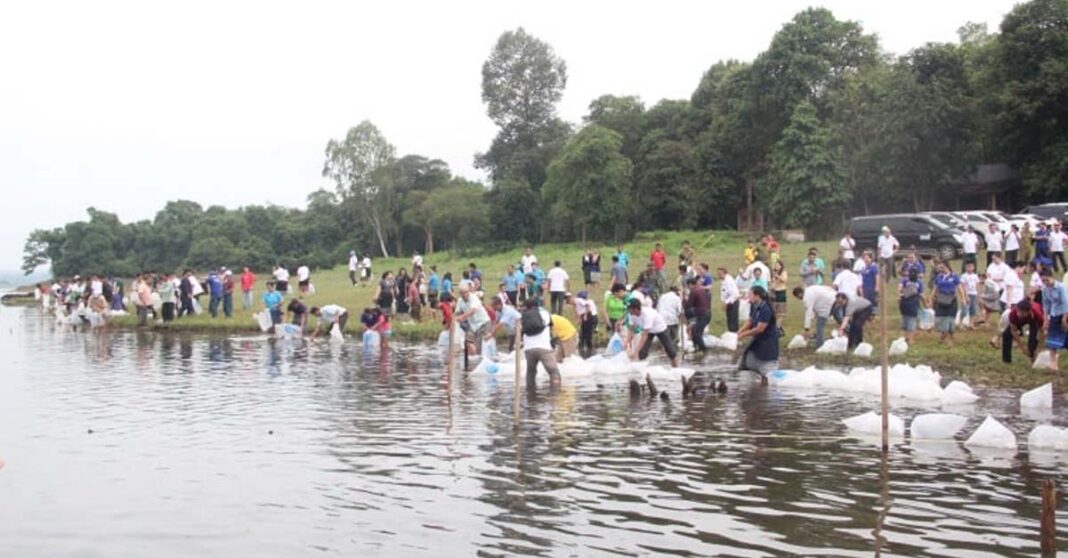 Laos to release fish